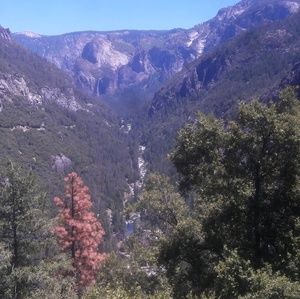 Meet your Posher, Ali